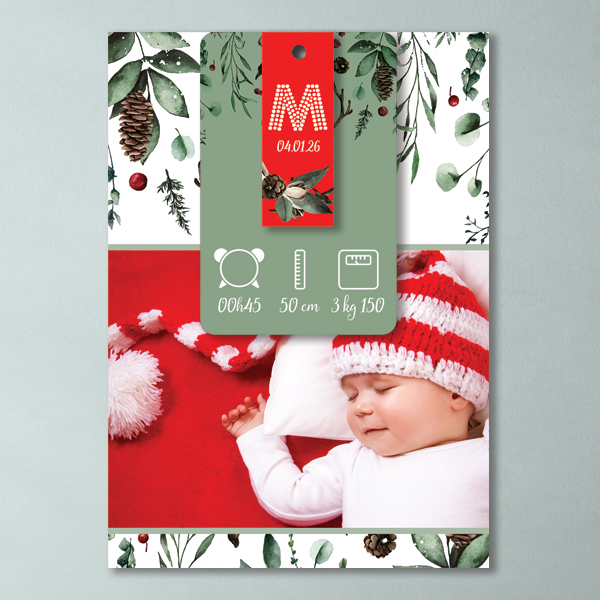 Faire-part naissance Pomme de Pin – Image 3