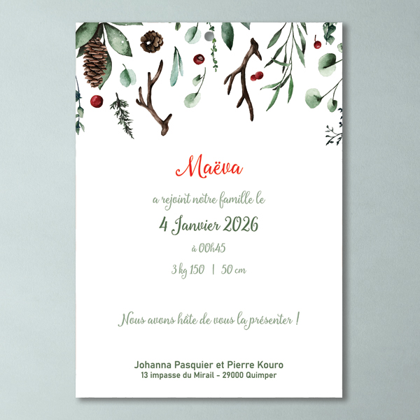 Faire-part naissance Pomme de Pin – Image 4